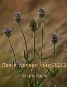 2012-2-web